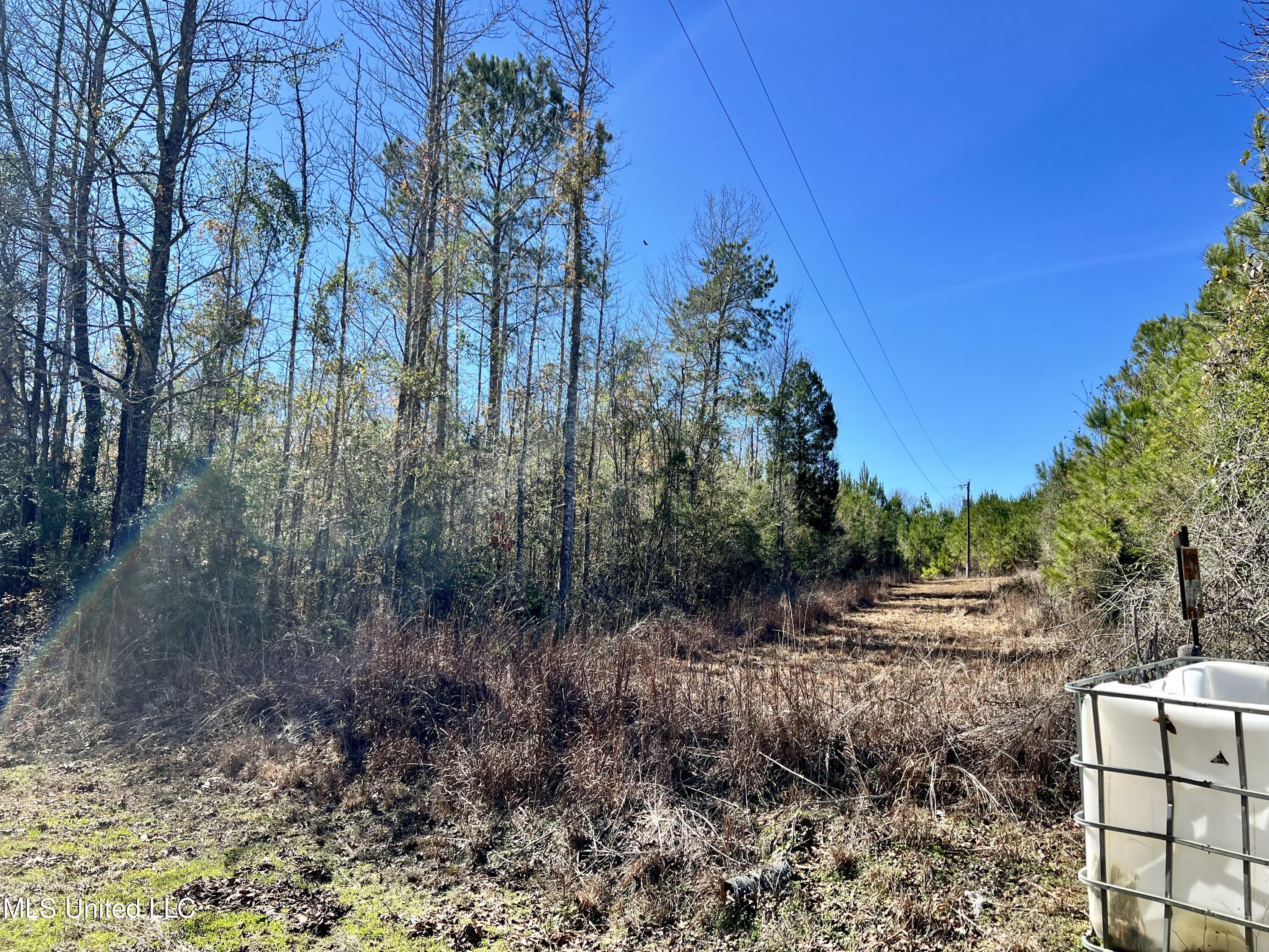 Dr Anderson Road, Centreville, Mississippi image 1