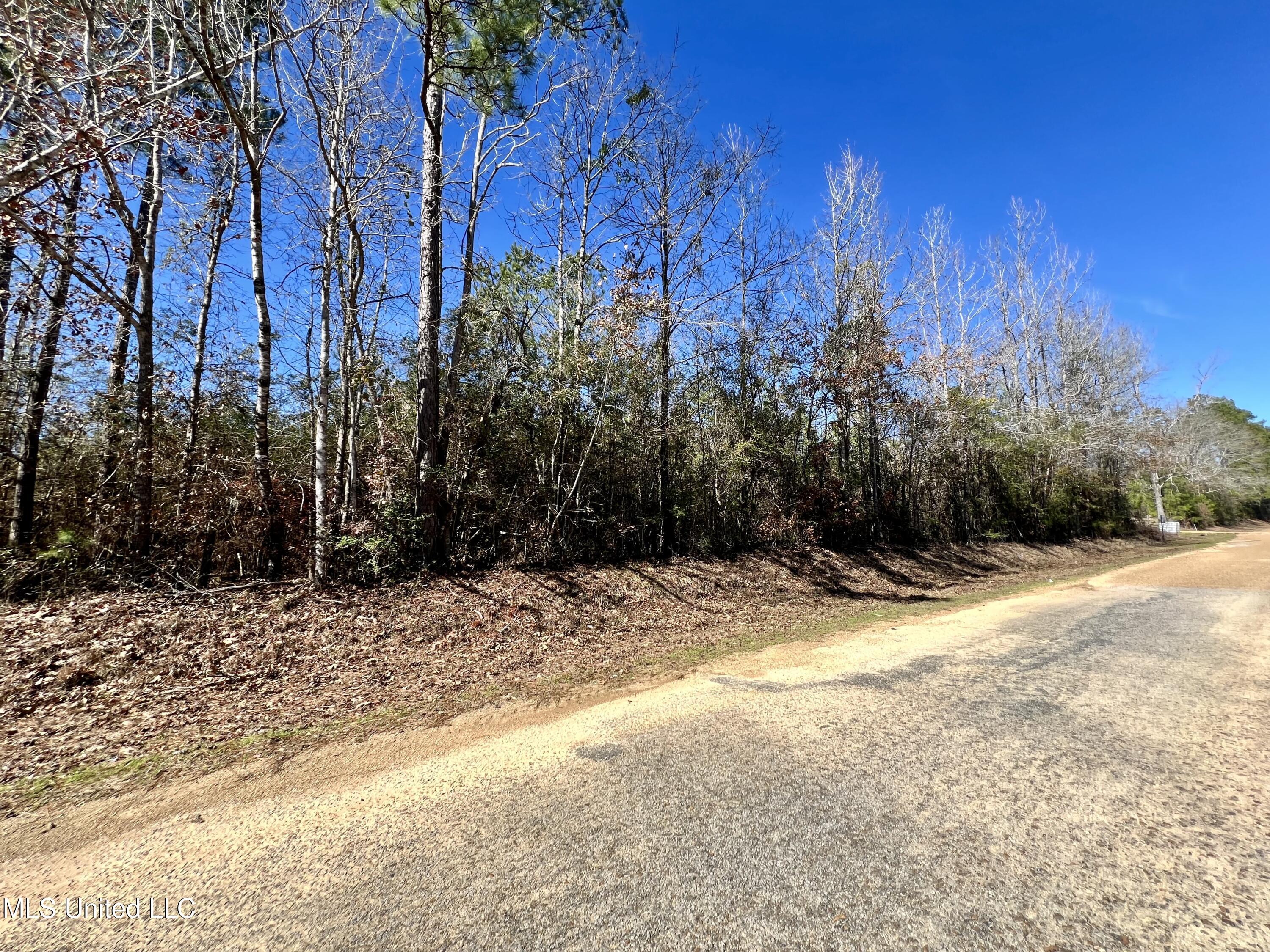 Dr Anderson Road, Centreville, Mississippi image 3