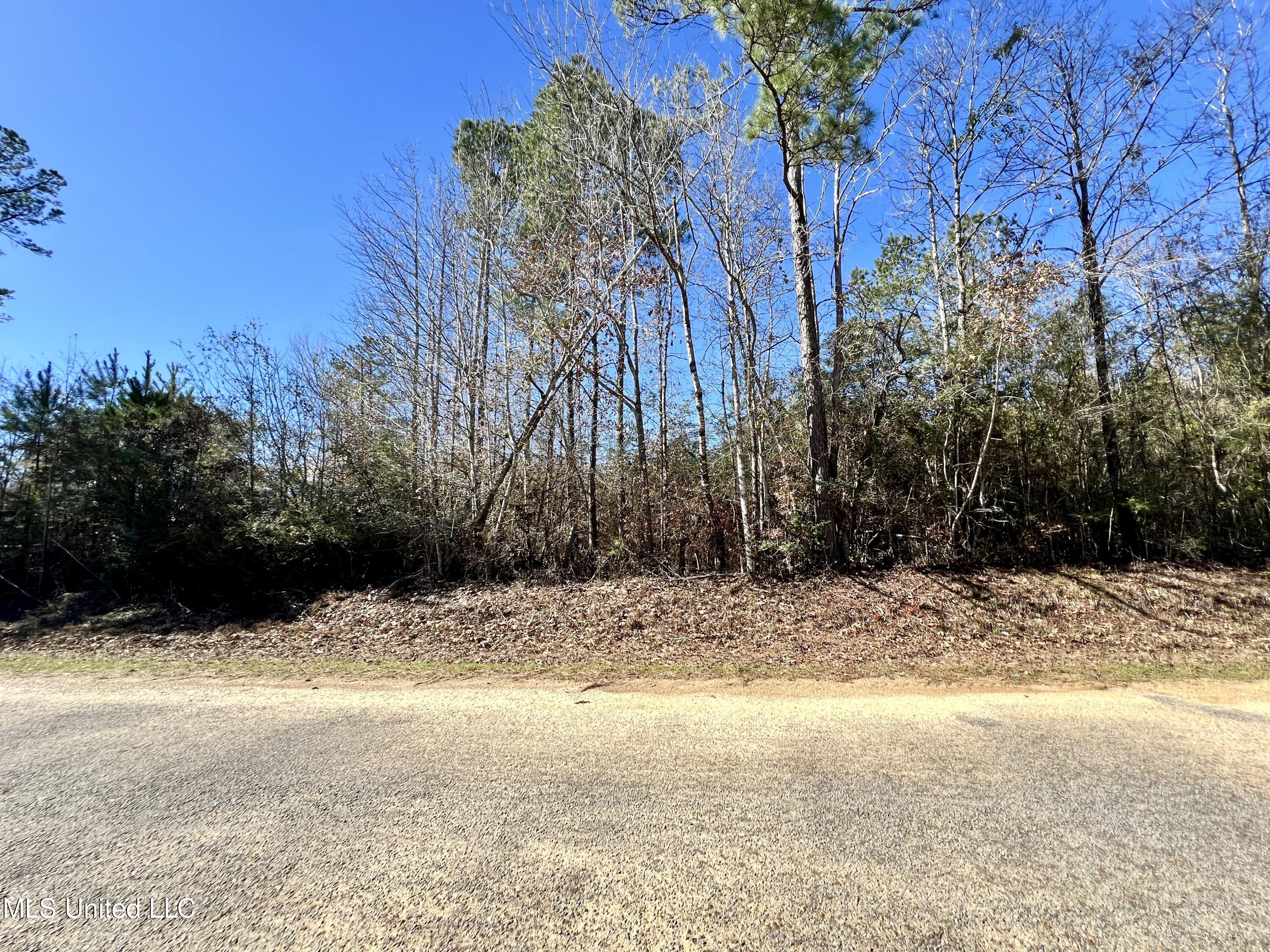 Dr Anderson Road, Centreville, Mississippi image 6