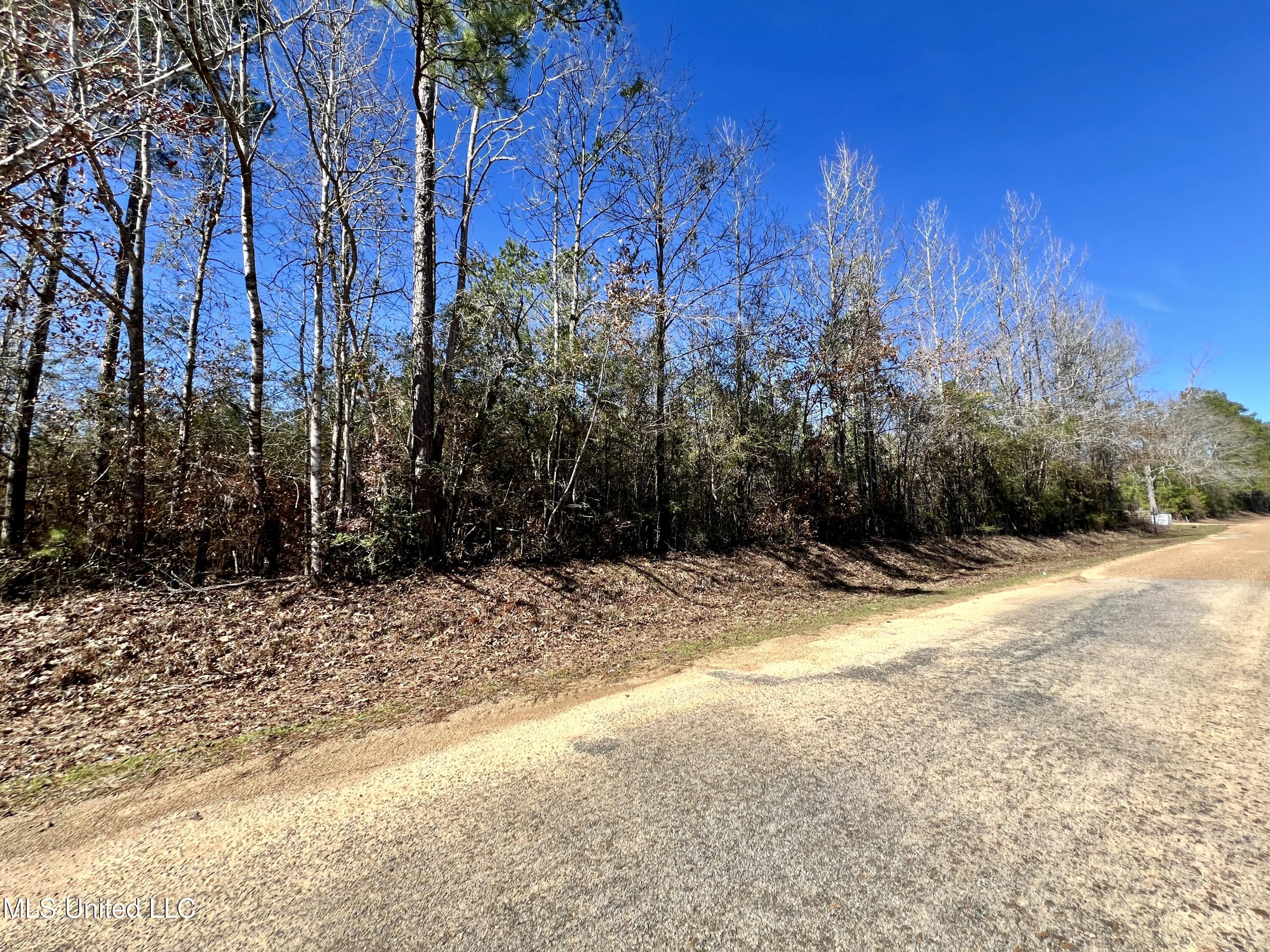 Dr Anderson Road, Centreville, Mississippi image 5