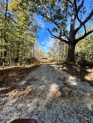 1010 HUBBARD RD, HOLLY SPRINGS, MS 38635 - Image 279567d9df7ee083defe34bf977cfaec/3463631797