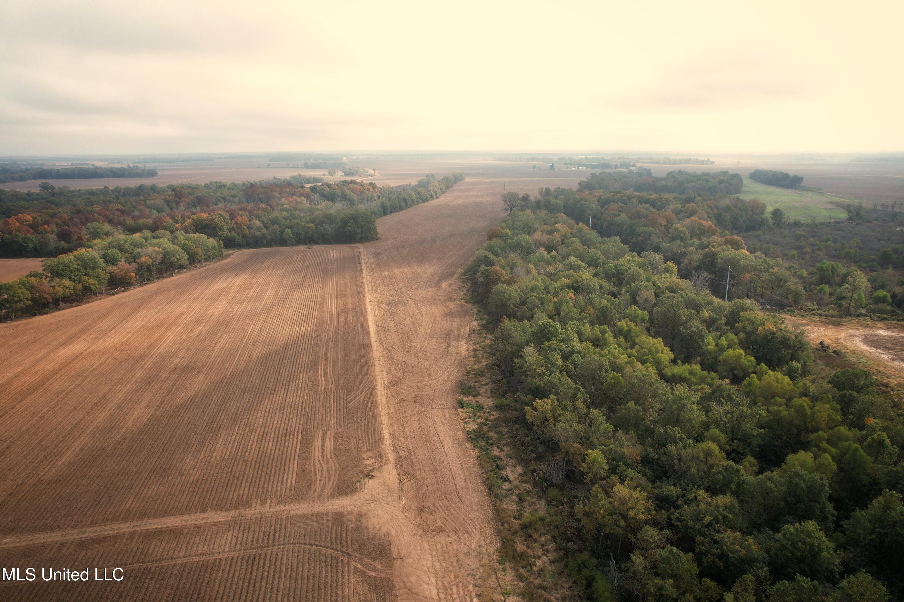 Drew Ruleville Road, Ruleville, Mississippi image 3