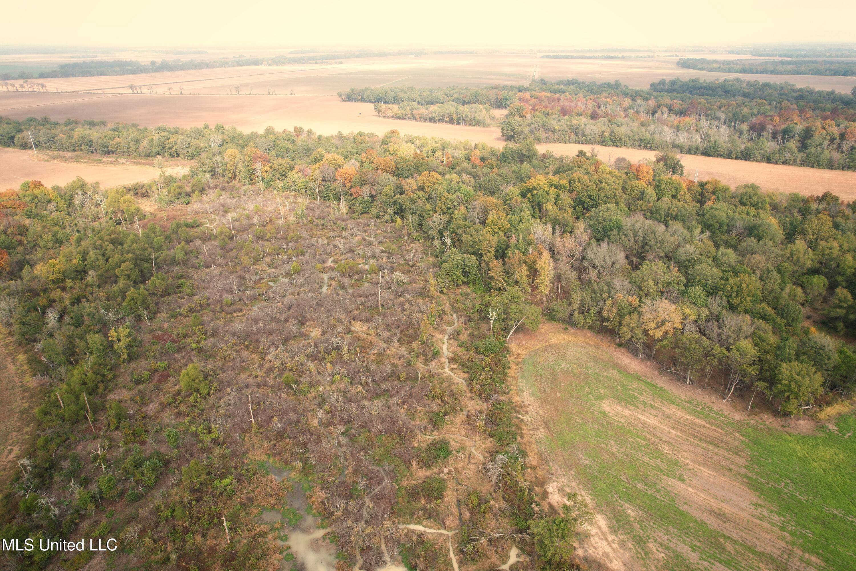 Drew Ruleville Road, Ruleville, Mississippi image 6