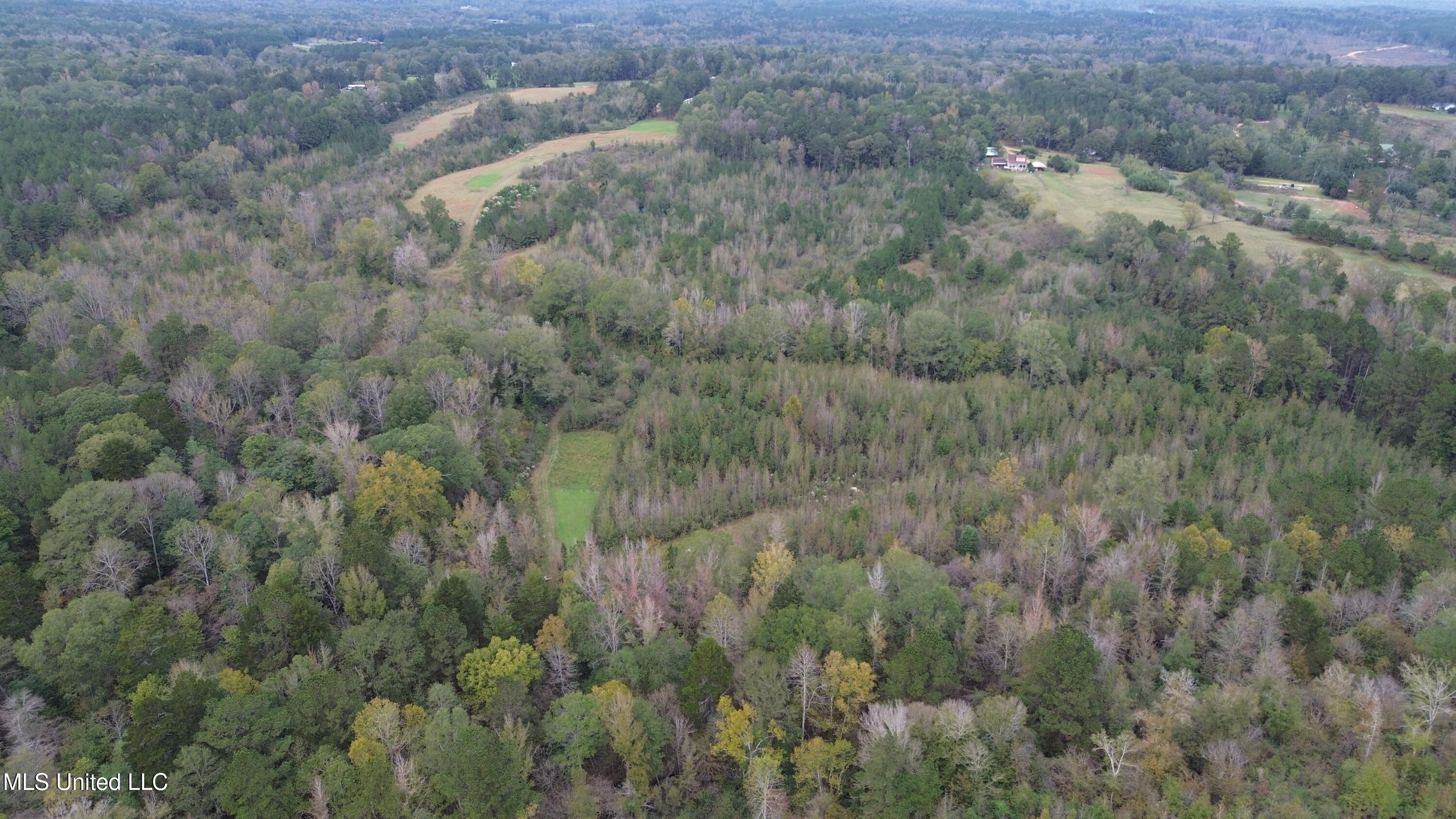 E Burt Loop Road, Crystal Springs, Mississippi image 15