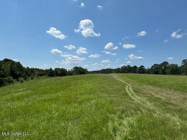 E Burt Loop Road, Crystal Springs, Mississippi image 1