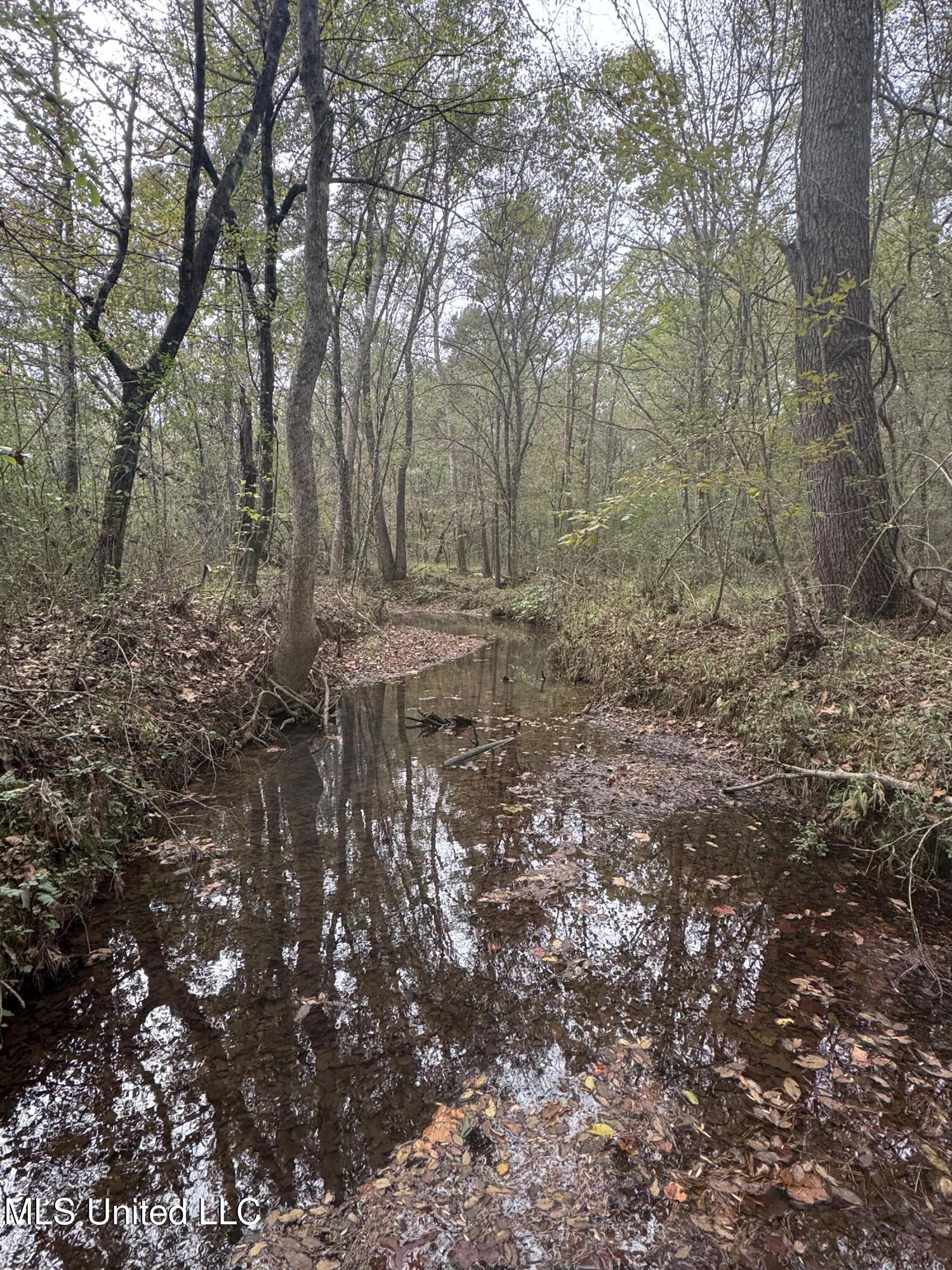 E Burt Loop Road, Crystal Springs, Mississippi image 13