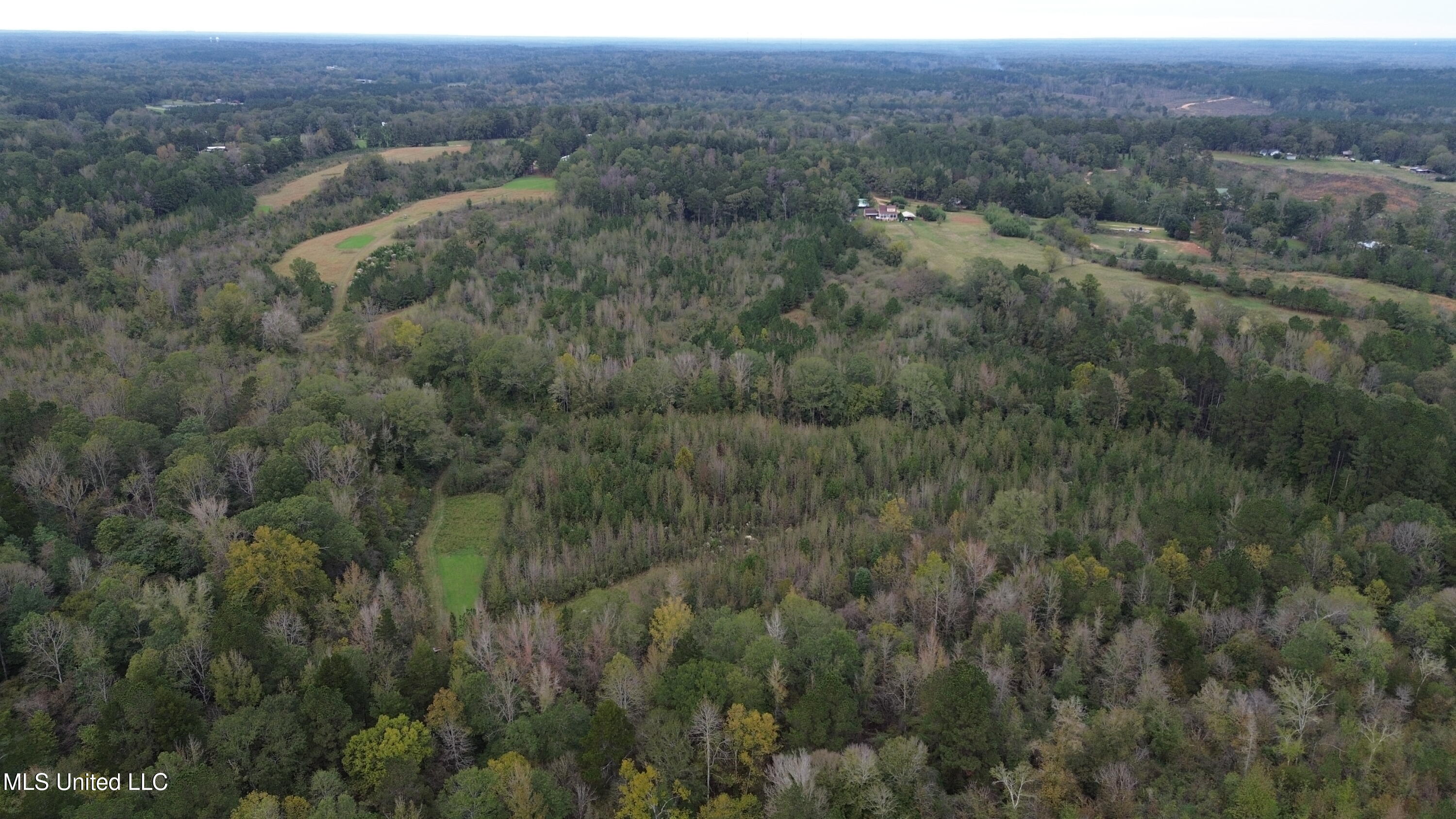 E Burt Loop Road, Crystal Springs, Mississippi image 16