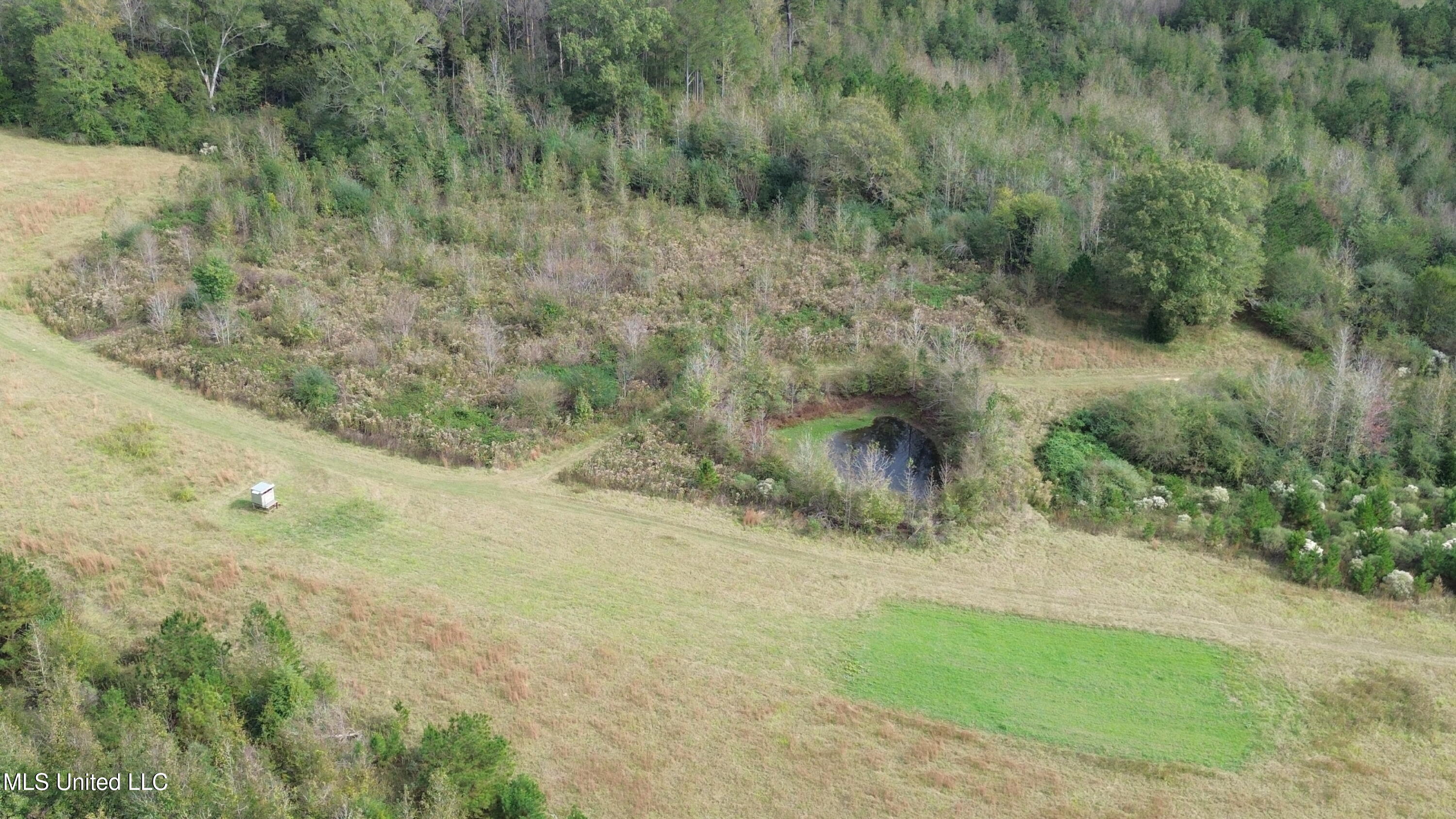 E Burt Loop Road, Crystal Springs, Mississippi image 7