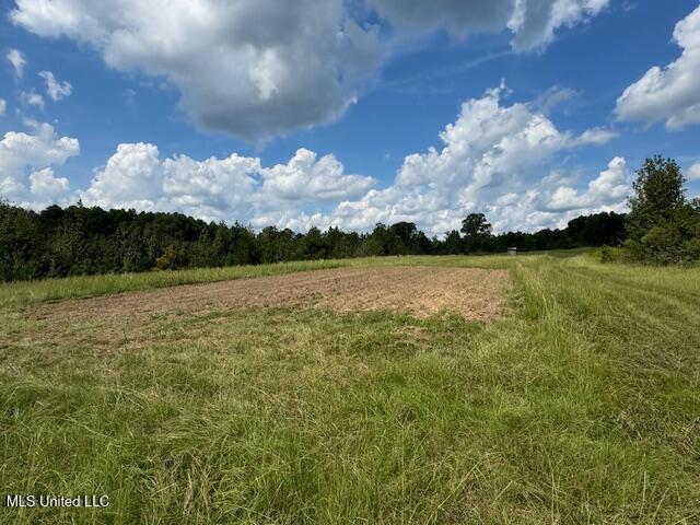 E Burt Loop Road, Crystal Springs, Mississippi image 12