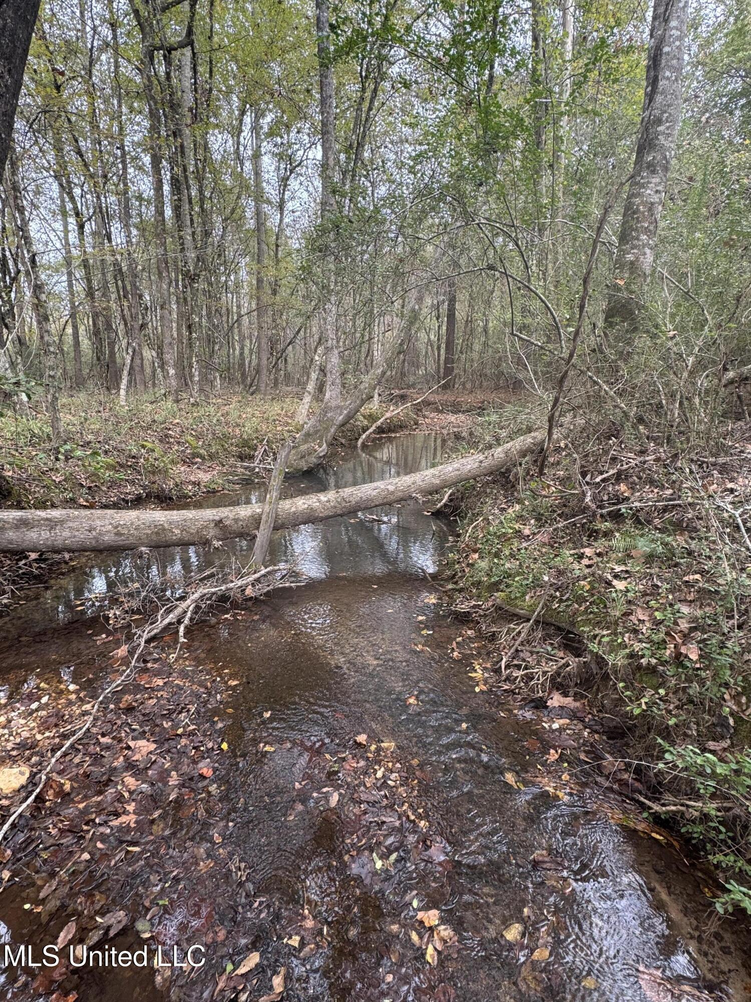 E Burt Loop Road, Crystal Springs, Mississippi image 14