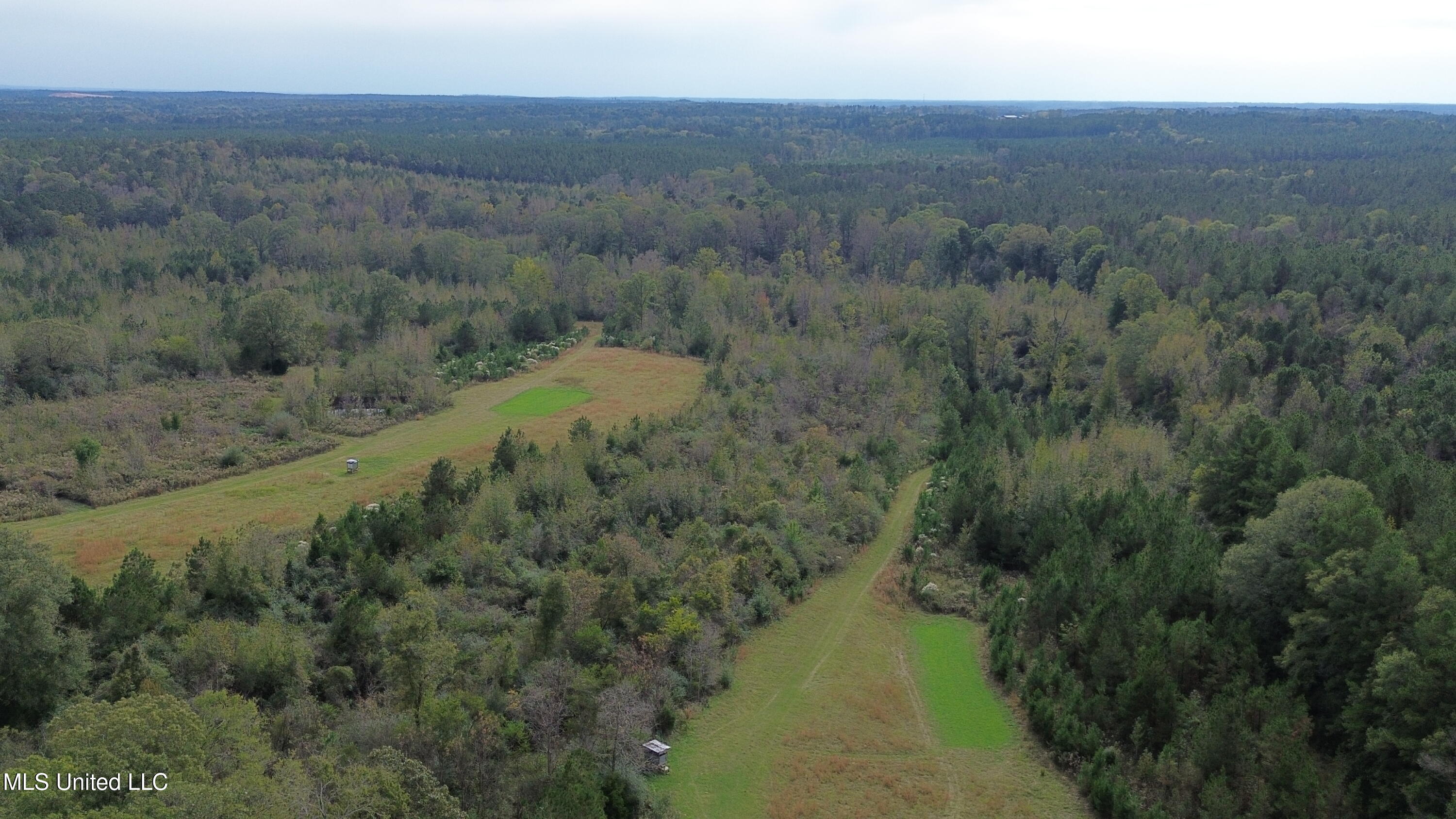 E Burt Loop Road, Crystal Springs, Mississippi image 4