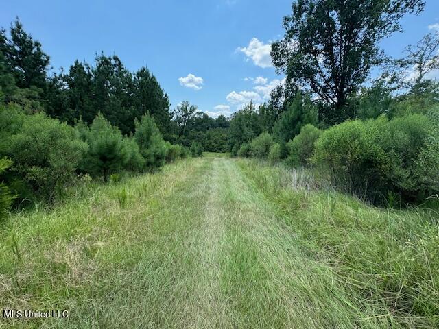 E Burt Loop Road, Crystal Springs, Mississippi image 11