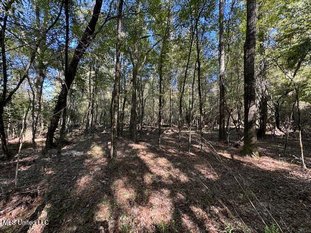 E Burt Loop Road, Crystal Springs, Mississippi image 17