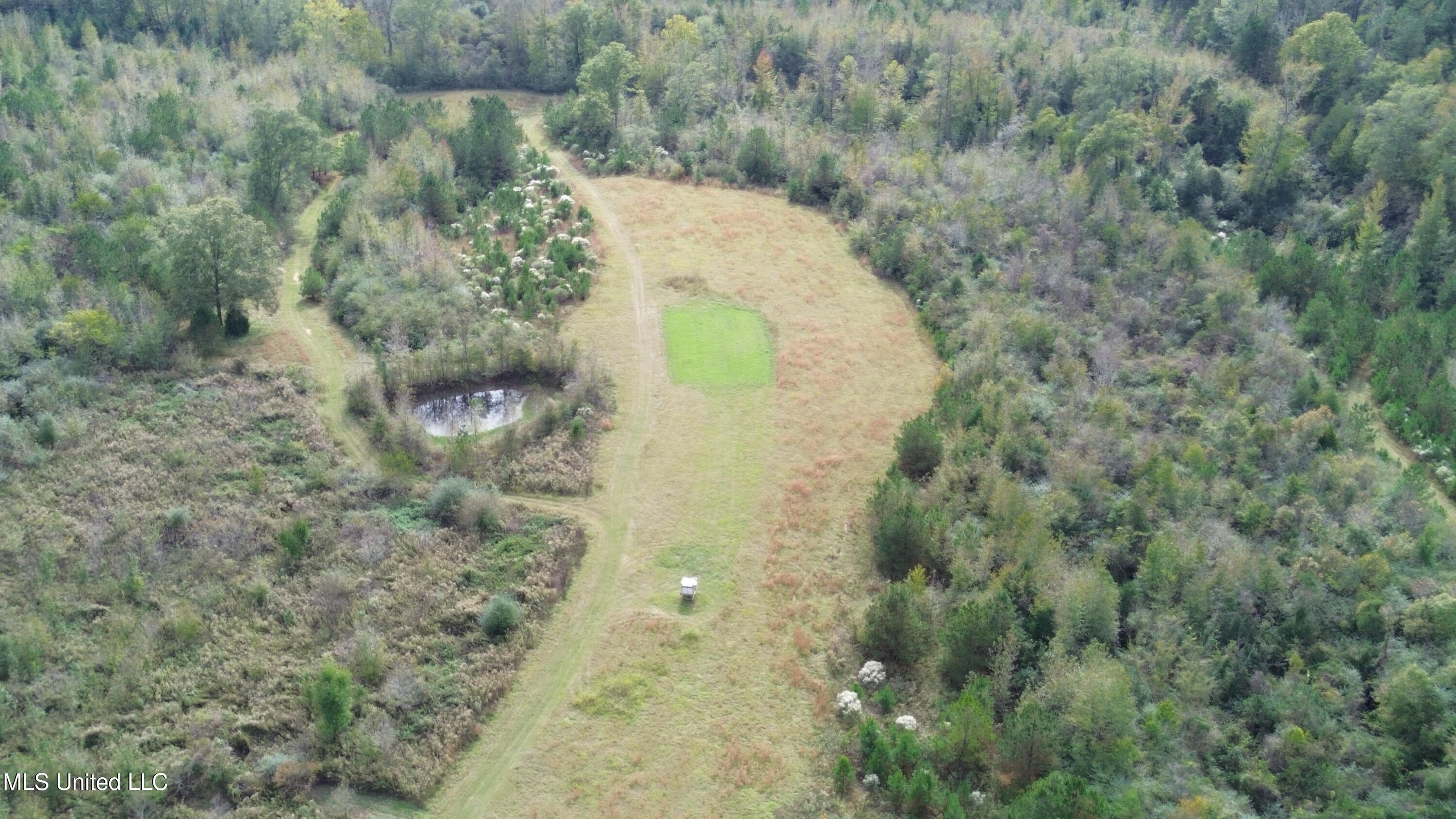 E Burt Loop Road, Crystal Springs, Mississippi image 6