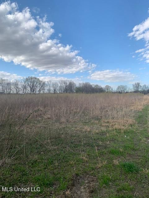 Vacant Land For Sale - 7998 Vaiden Road<br/> Hernando, MS 38632