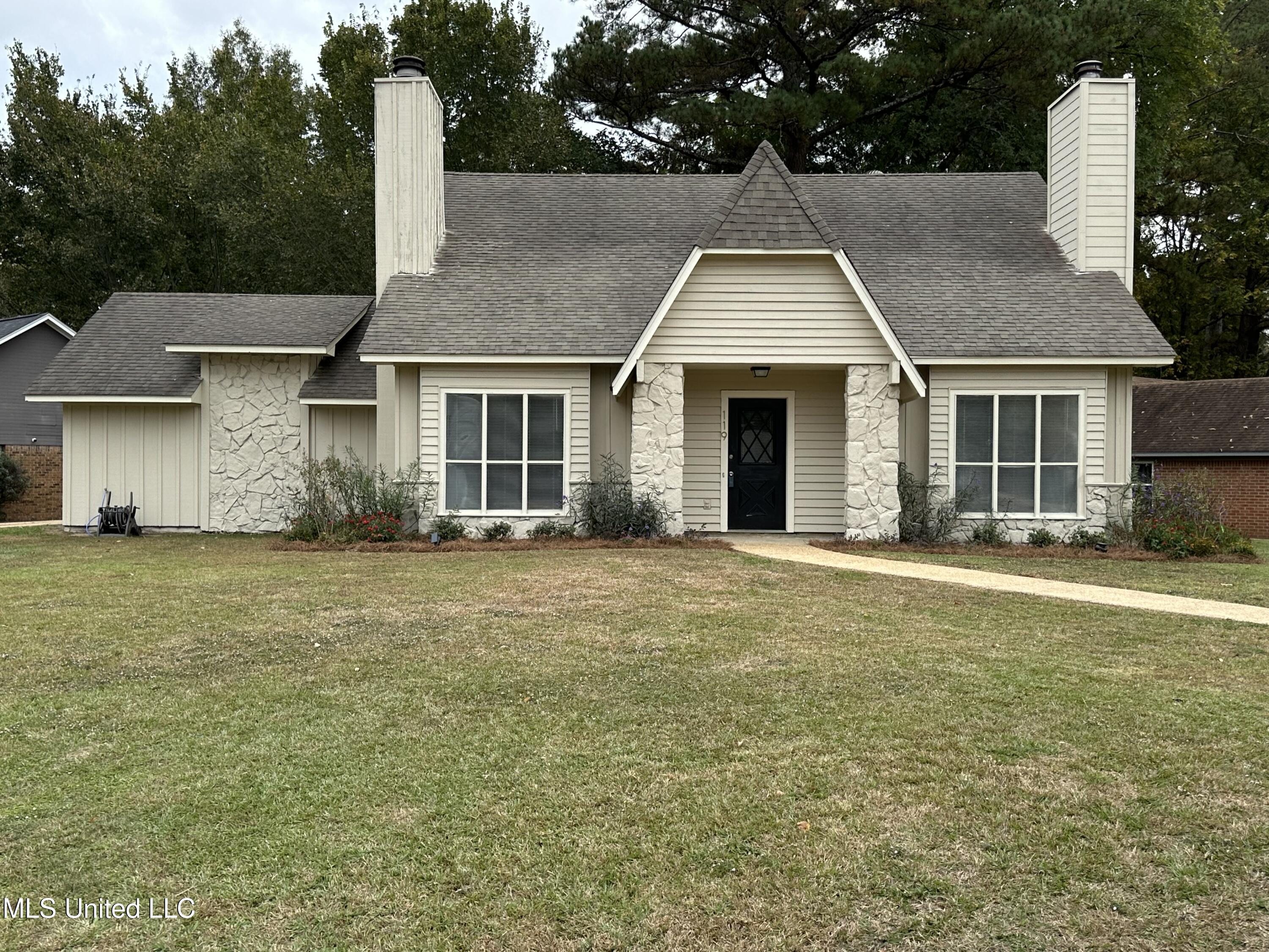 119 Bellegrove Boulevard, Brandon, Mississippi image 1