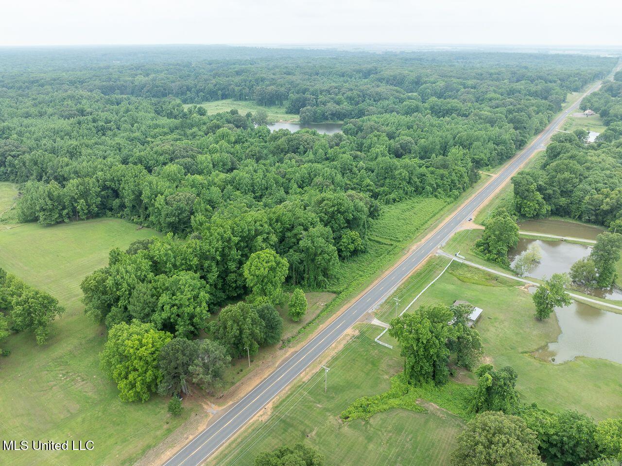 Church Road, Walls, Mississippi image 7