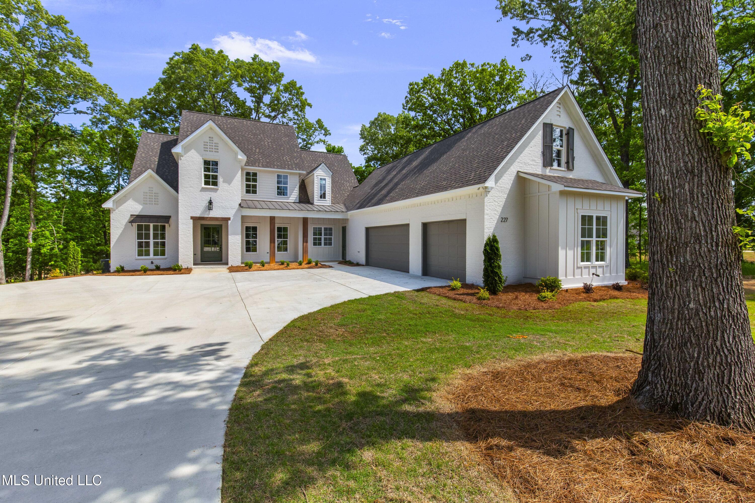 227 Oakside Trail, Madison, Mississippi image 1