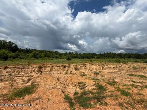 Vacant Land For Sale - 14 Taylor Nicole Road<br/> Desoto County, Byhalia, MS 38611