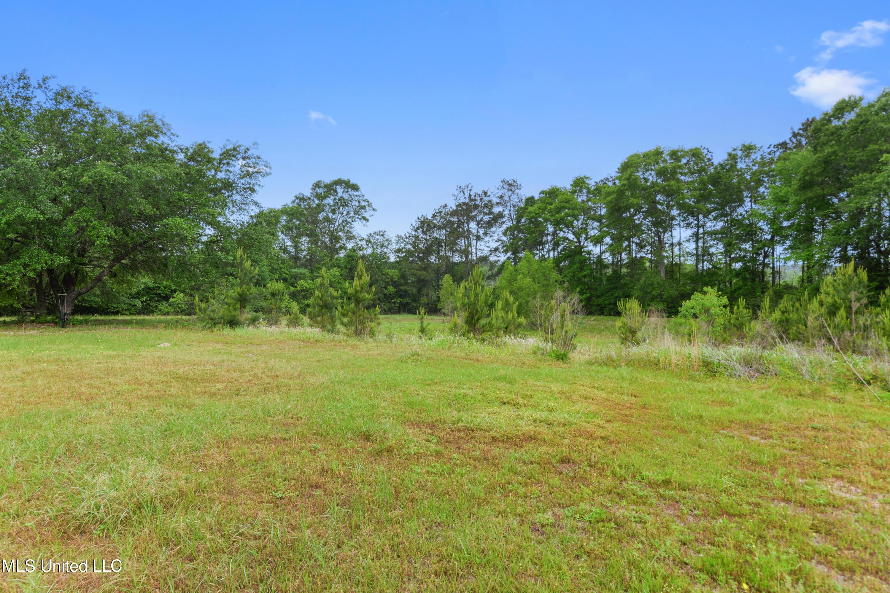 4011 Stewart Lane, Perkinston, Mississippi image 35