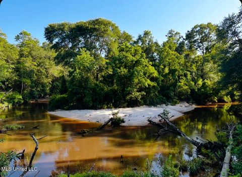 Vacant Land For Sale - W Union Road<br/> Carriere, MS 39426