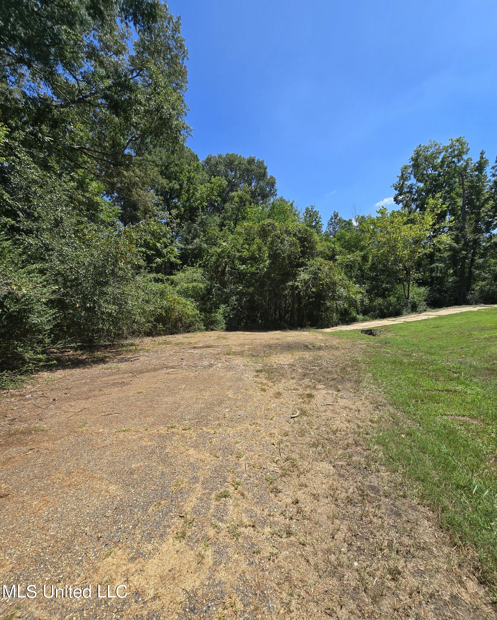 Bracken Cove, Jackson, Mississippi image 1