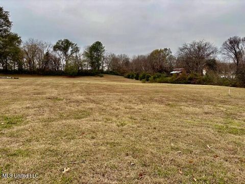 Vacant Land For Sale - 2 A & 2 C Us-51<br/> Hernando, MS 38632