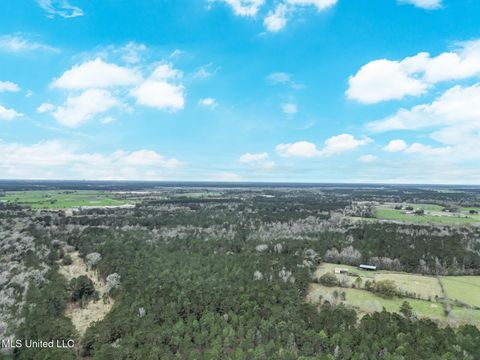 Vacant Land For Sale - Highway 43 Parcel 1<br/> Kiln, MS 39556