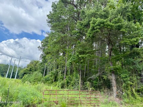 Vacant Land For Sale - 2194 Hwy 570 E<br/> Pike County, Summit, MS 39666