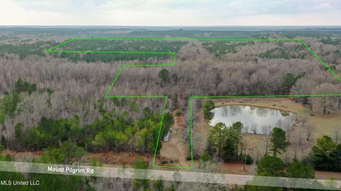 Vacant Land For Sale - Mount Pilgrim Road<br/> Camden, MS 39045