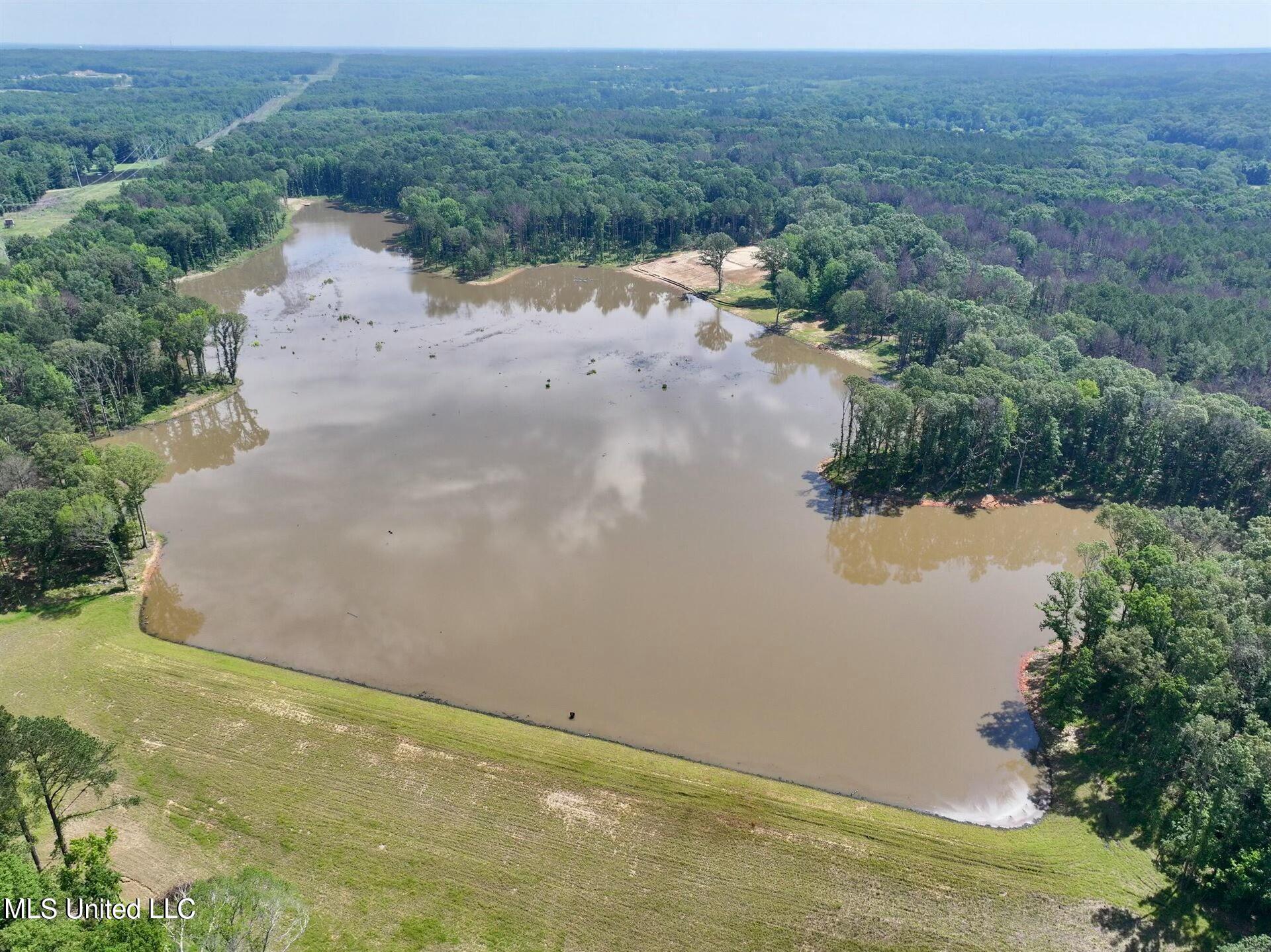 Springwood Trail, Flora, Mississippi image 7