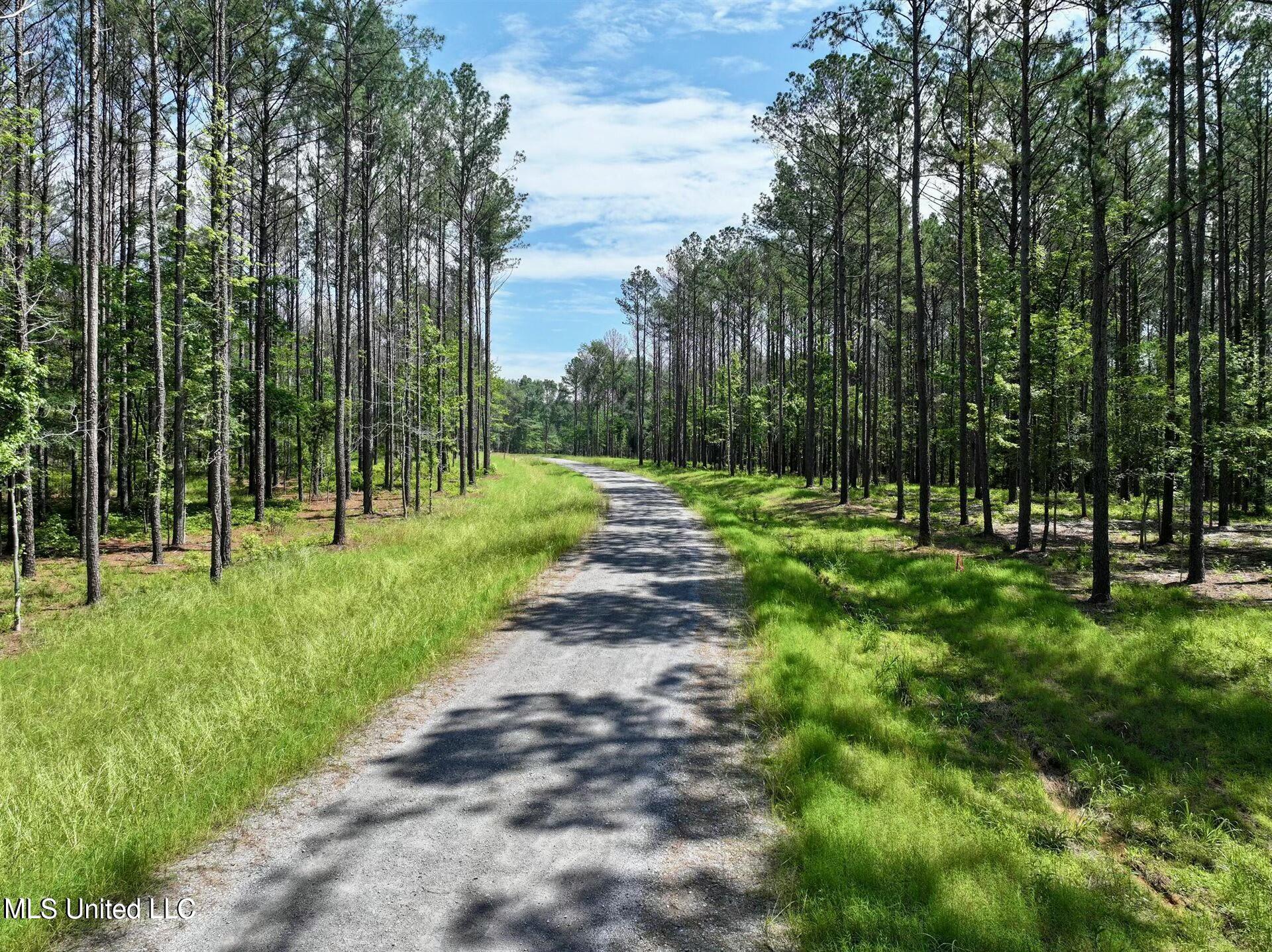 Springwood Trail, Flora, Mississippi image 6