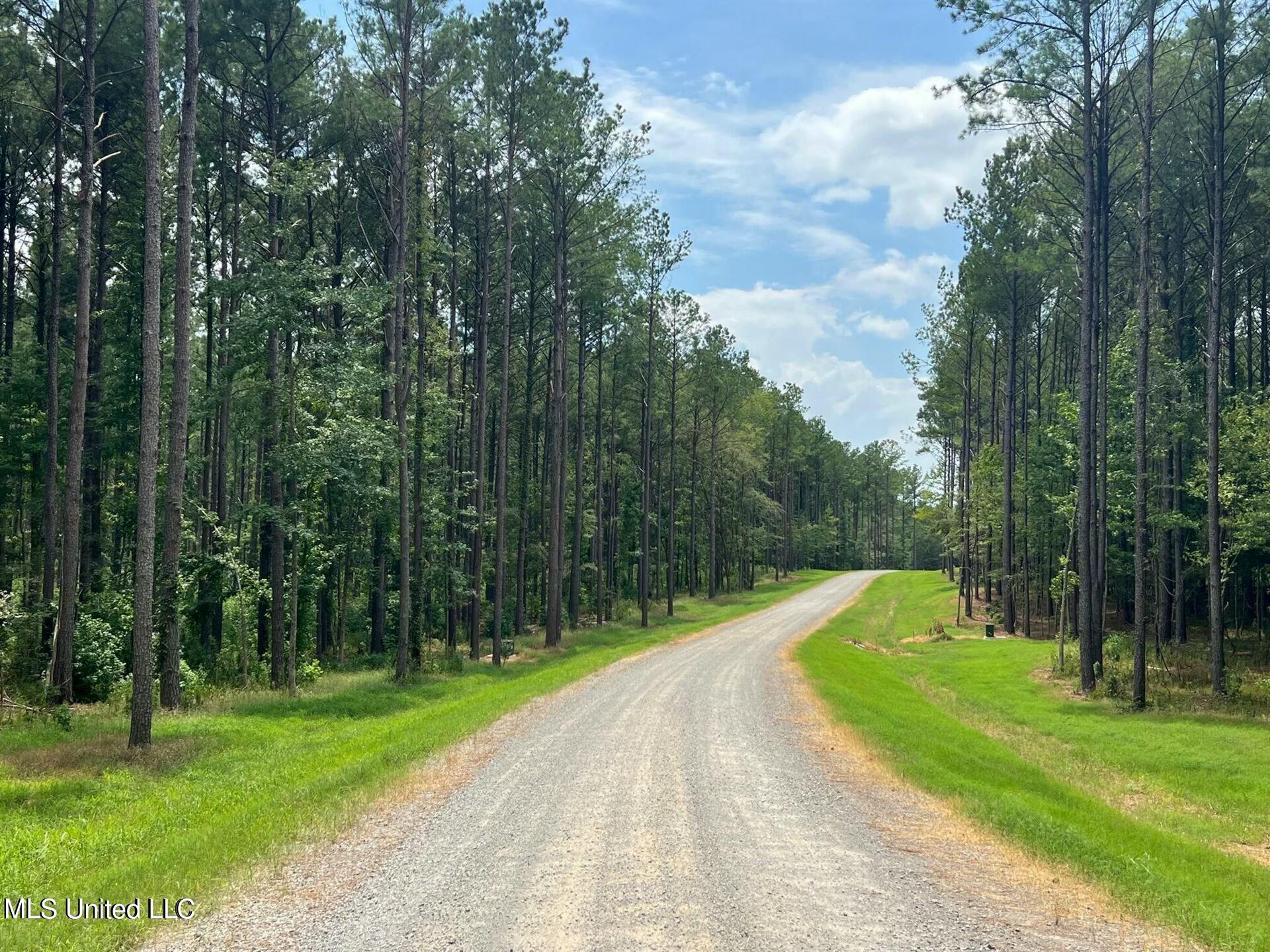 Springwood Trail, Flora, Mississippi image 9