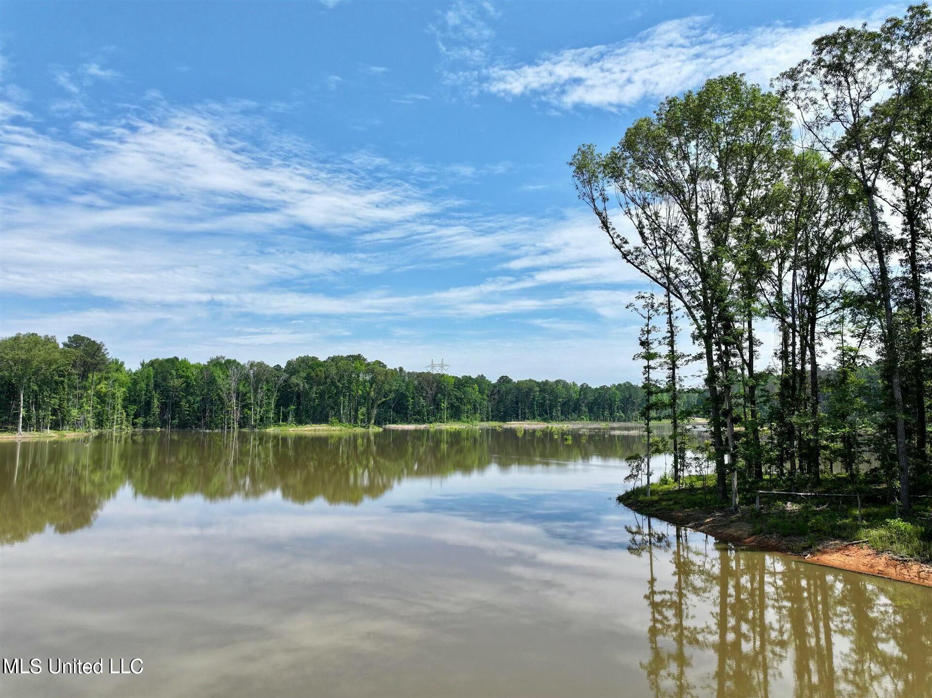 Springwood Trail, Flora, Mississippi image 8