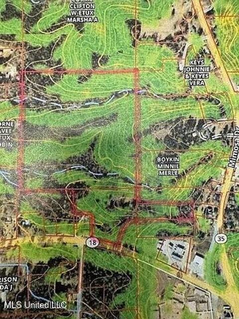 Vacant Land For Sale - 210 Mississippi Highway 18<br/> Smith County, Raleigh, MS 39153