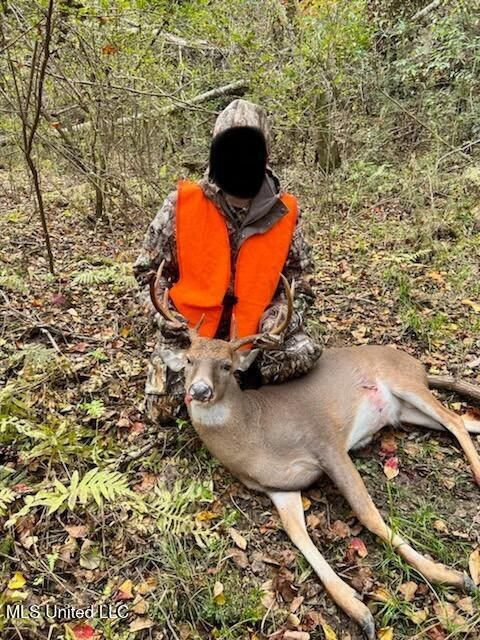 Vacant Land For Sale - 3032 Osyka Progress Road<br/> Osyka, MS 39657