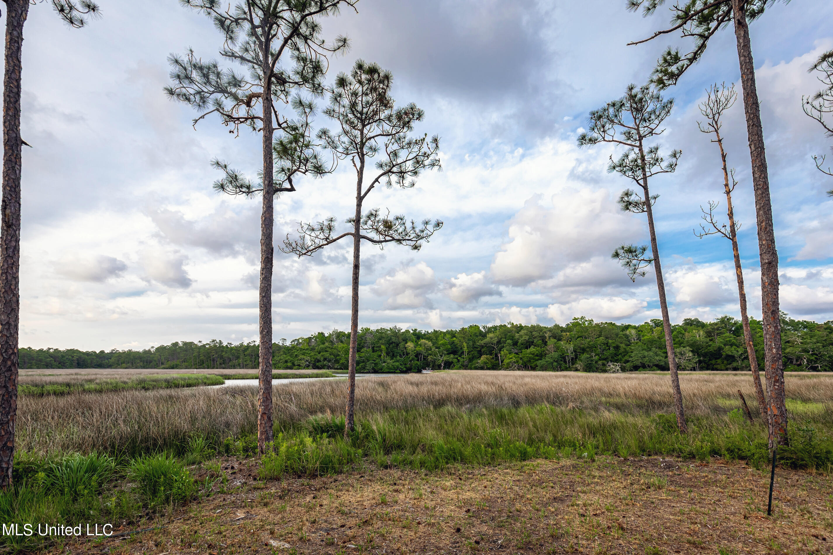 Pointe Of View, Ocean Springs, Mississippi image 24