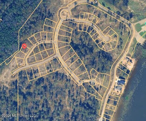 Vacant Land For Sale - 110 Hercules Hill<br/> Madison County, Canton, MS 39046