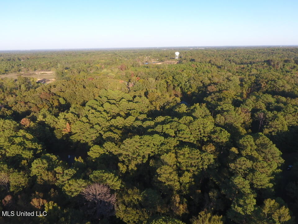 Gates Cove, Madison, Mississippi image 17