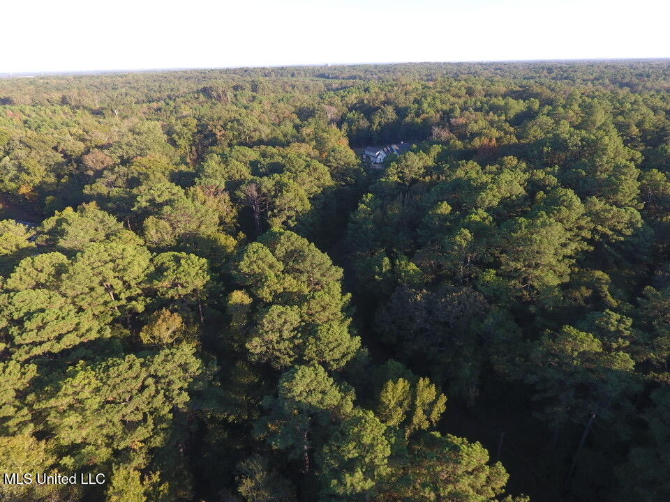 Gates Cove, Madison, Mississippi image 18