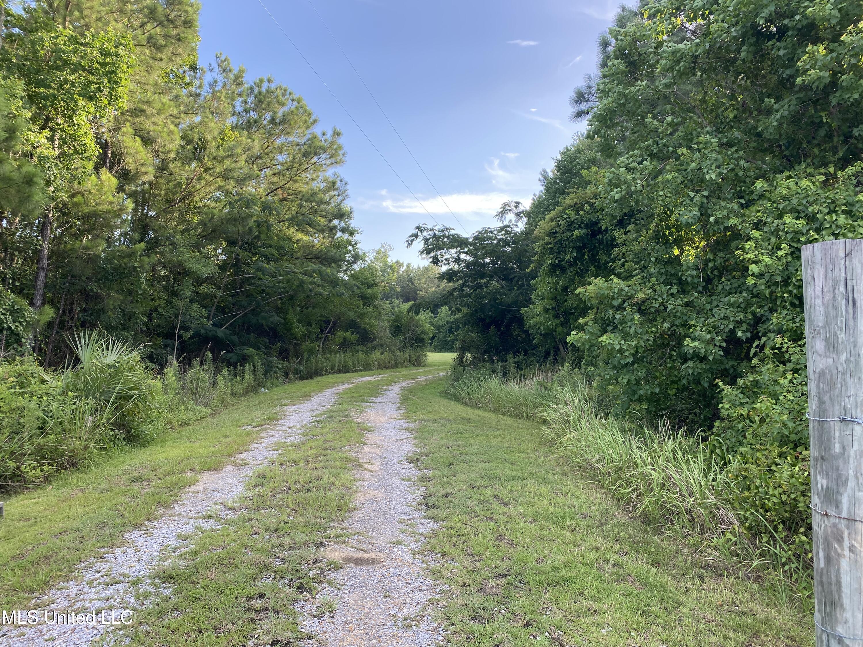 1441 Blue Meadow Road, Bay Saint Louis, Mississippi image 1