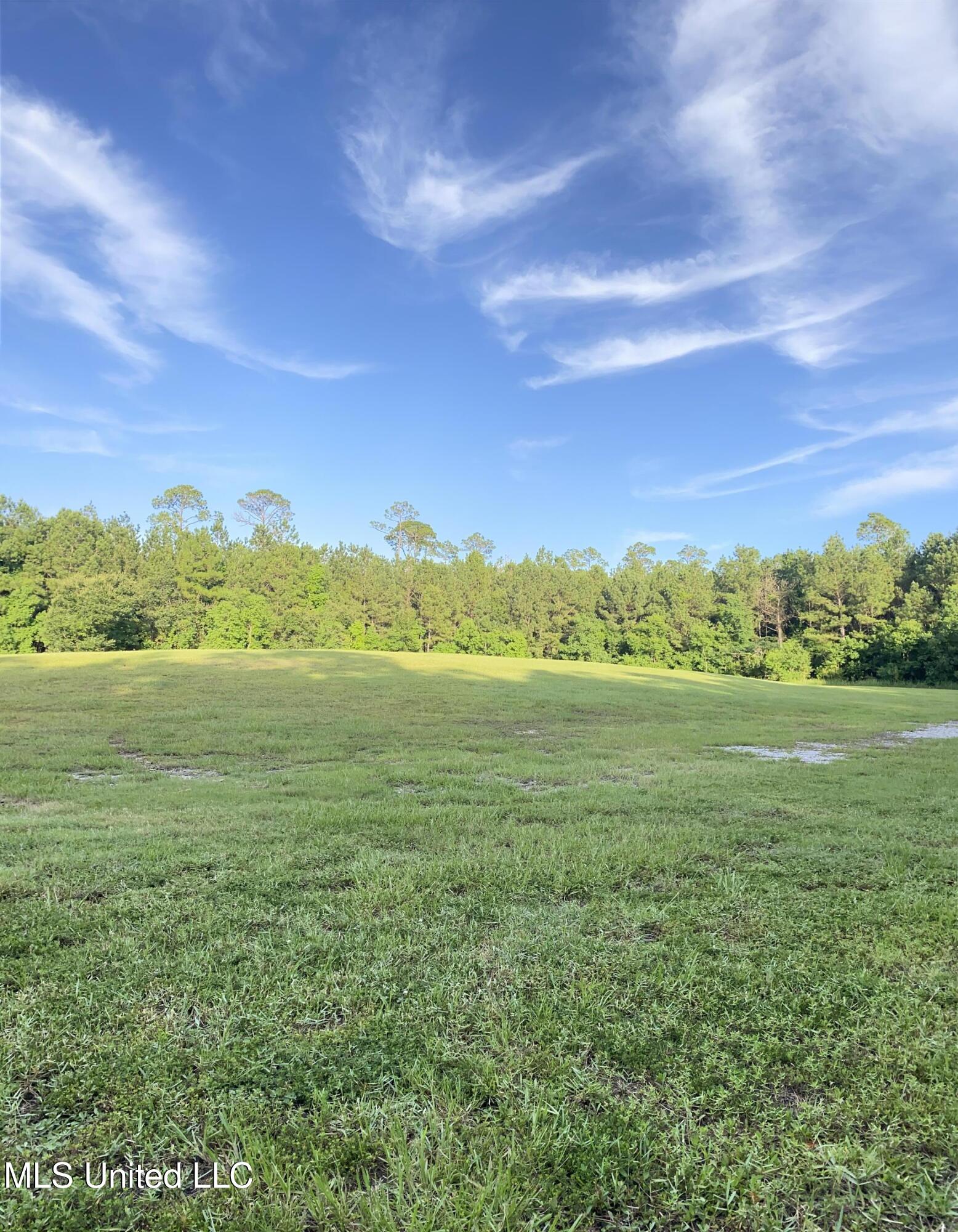 1441 Blue Meadow Road, Bay Saint Louis, Mississippi image 2