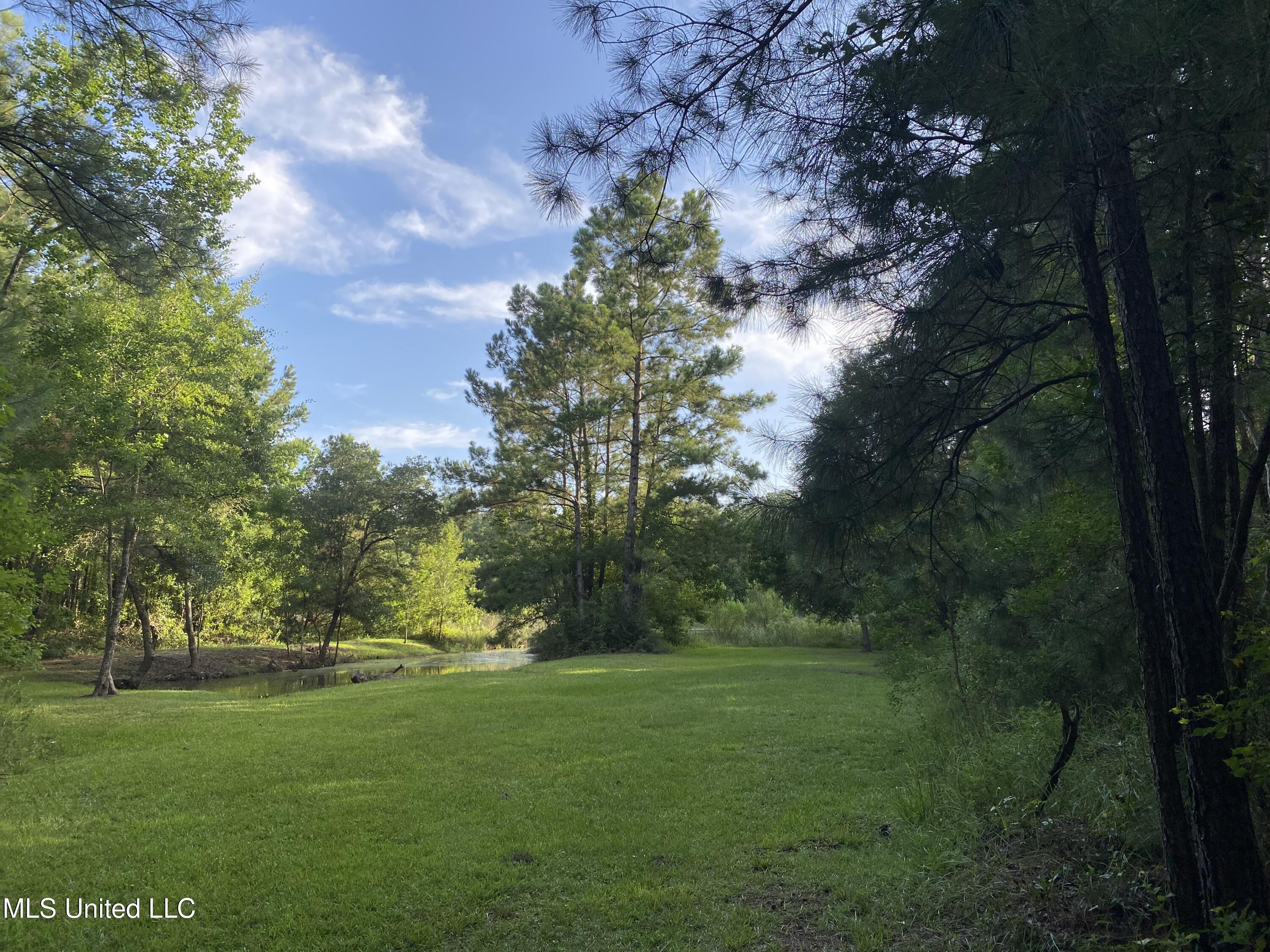 1441 Blue Meadow Road, Bay Saint Louis, Mississippi image 7