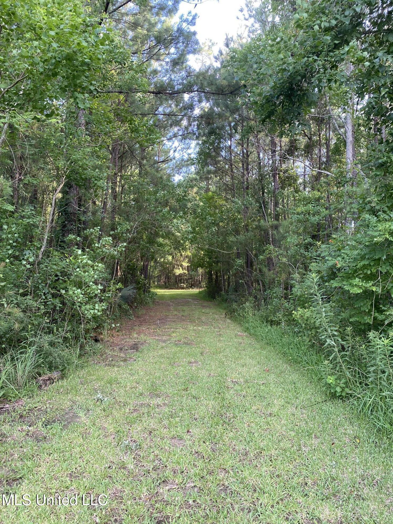 1441 Blue Meadow Road, Bay Saint Louis, Mississippi image 5