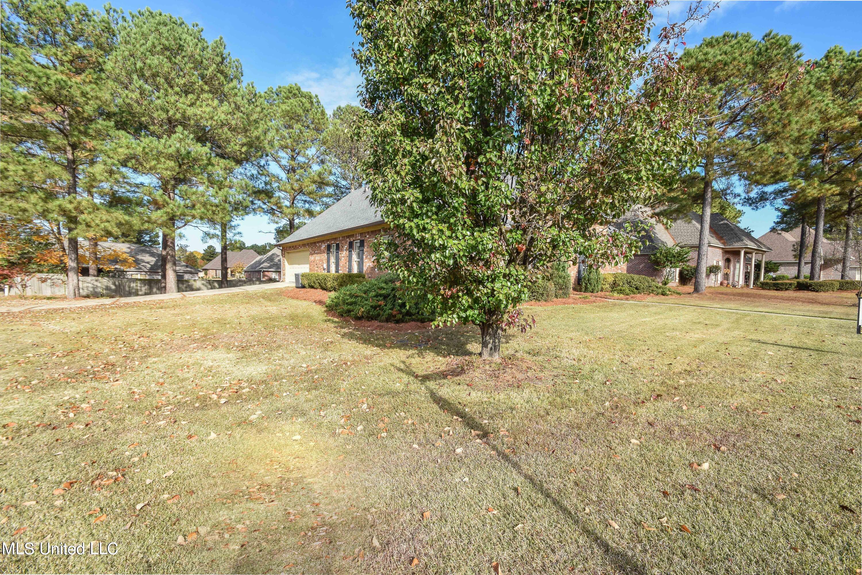 101 Buckeye Drive, Madison, Mississippi image 2