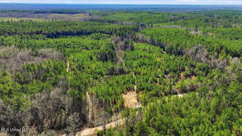 Vacant Land For Sale - 1024 Milligan Springs Road<br/> Eupora, MS 39744