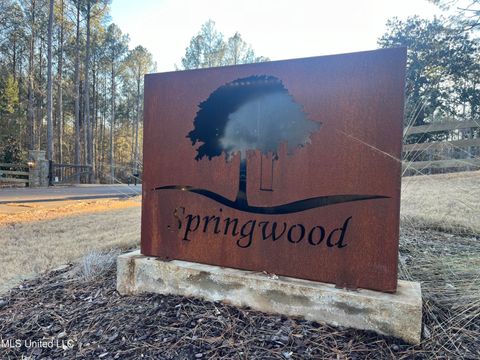 Vacant Land For Sale - Springwood Trail<br/> Flora, MS 39071