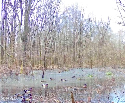 Vacant Land For Sale - Howard Street<br/> Quitman County, Marks, MS 38646