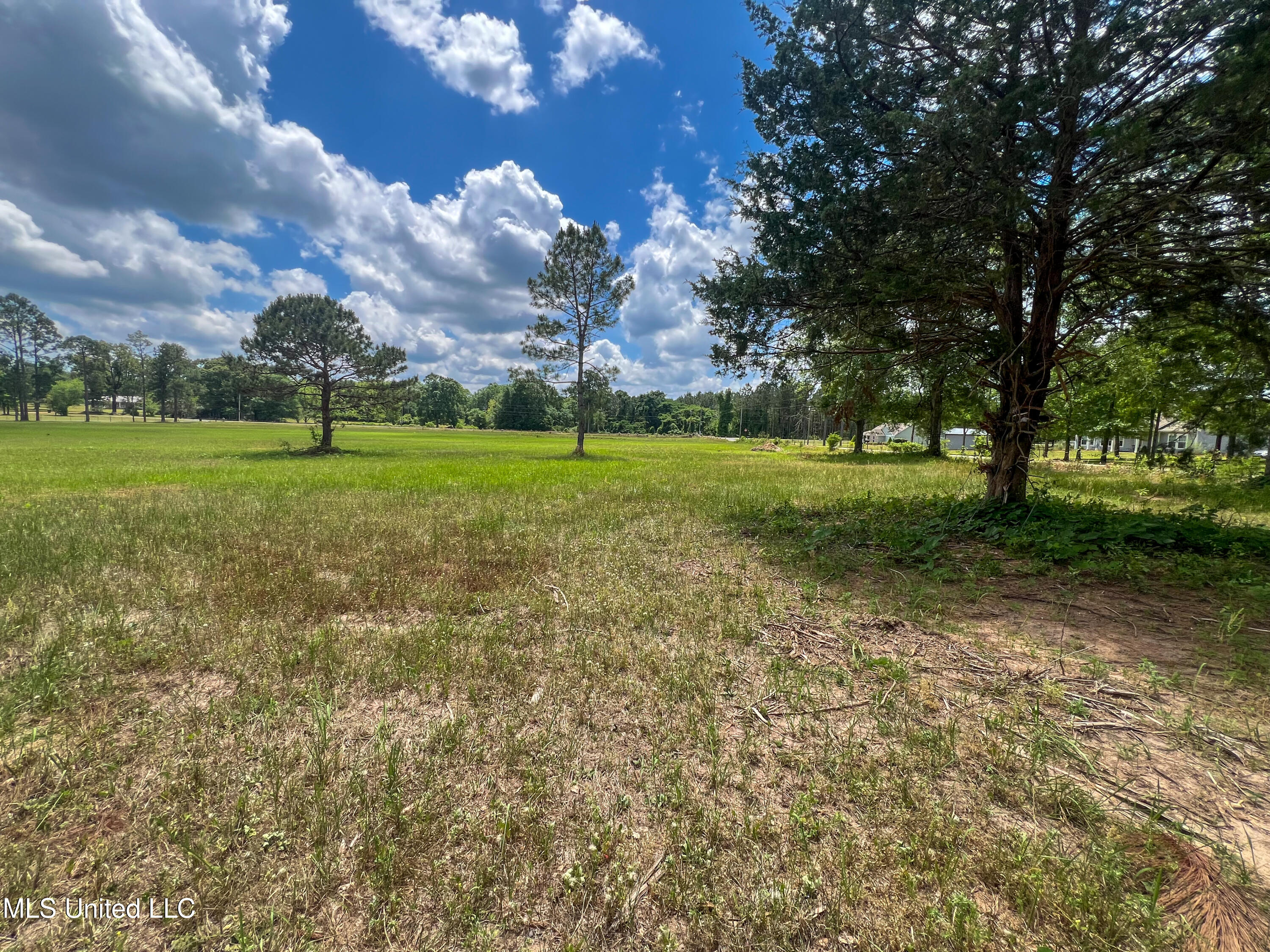 2 Ac Albert Davis Road, Lucedale, Mississippi image 1
