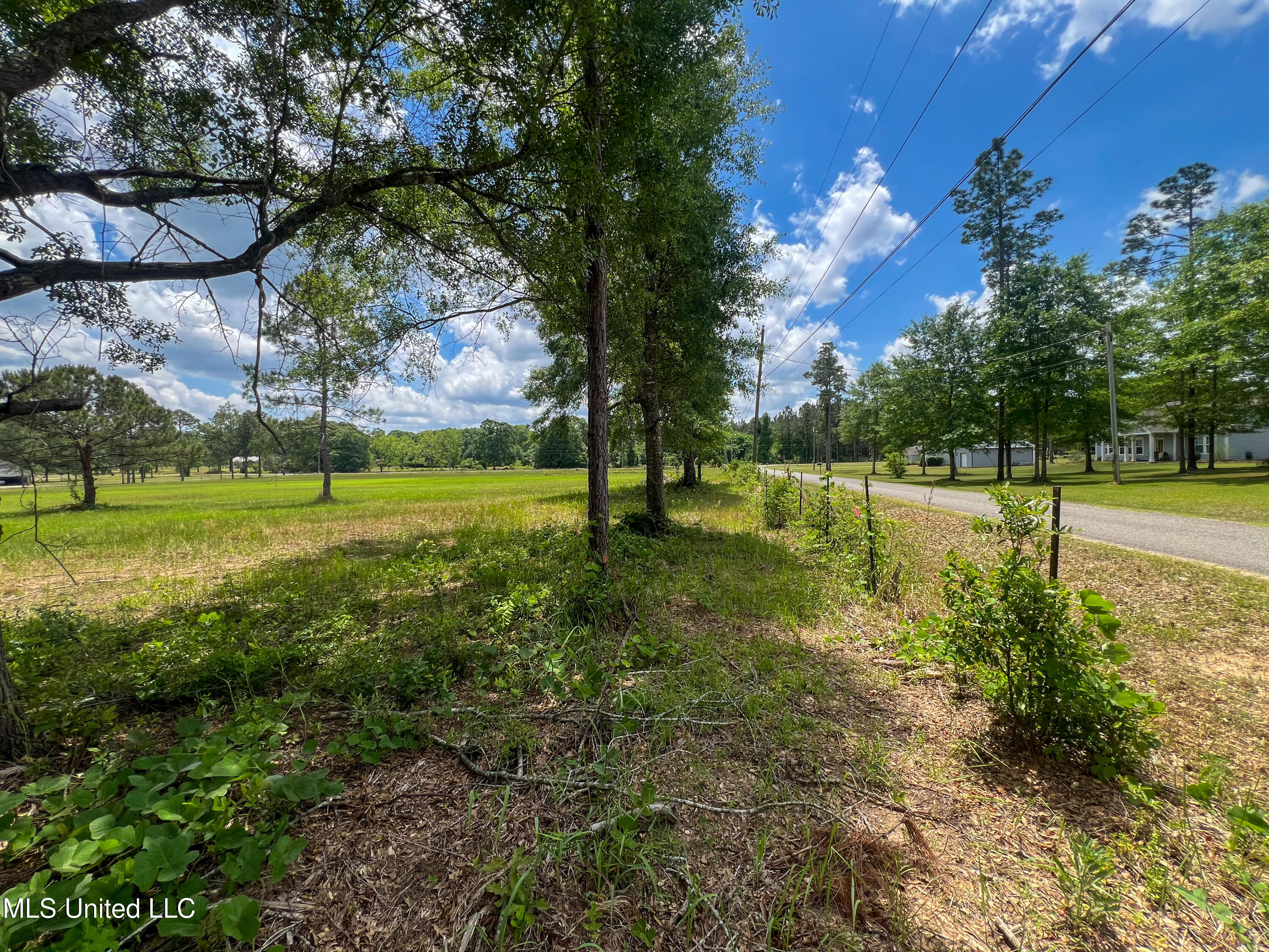 2 Ac Albert Davis Road, Lucedale, Mississippi image 3